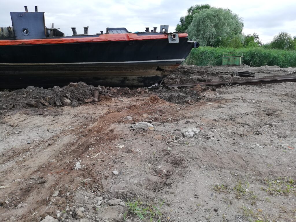 Laeva vintsimine