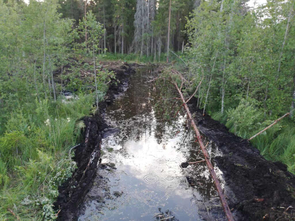 Ekskavaator soos
