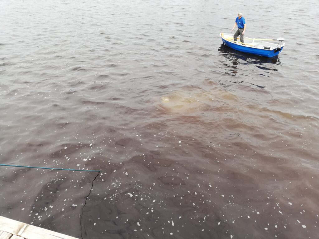 Pärnu jõest auto vintsimine